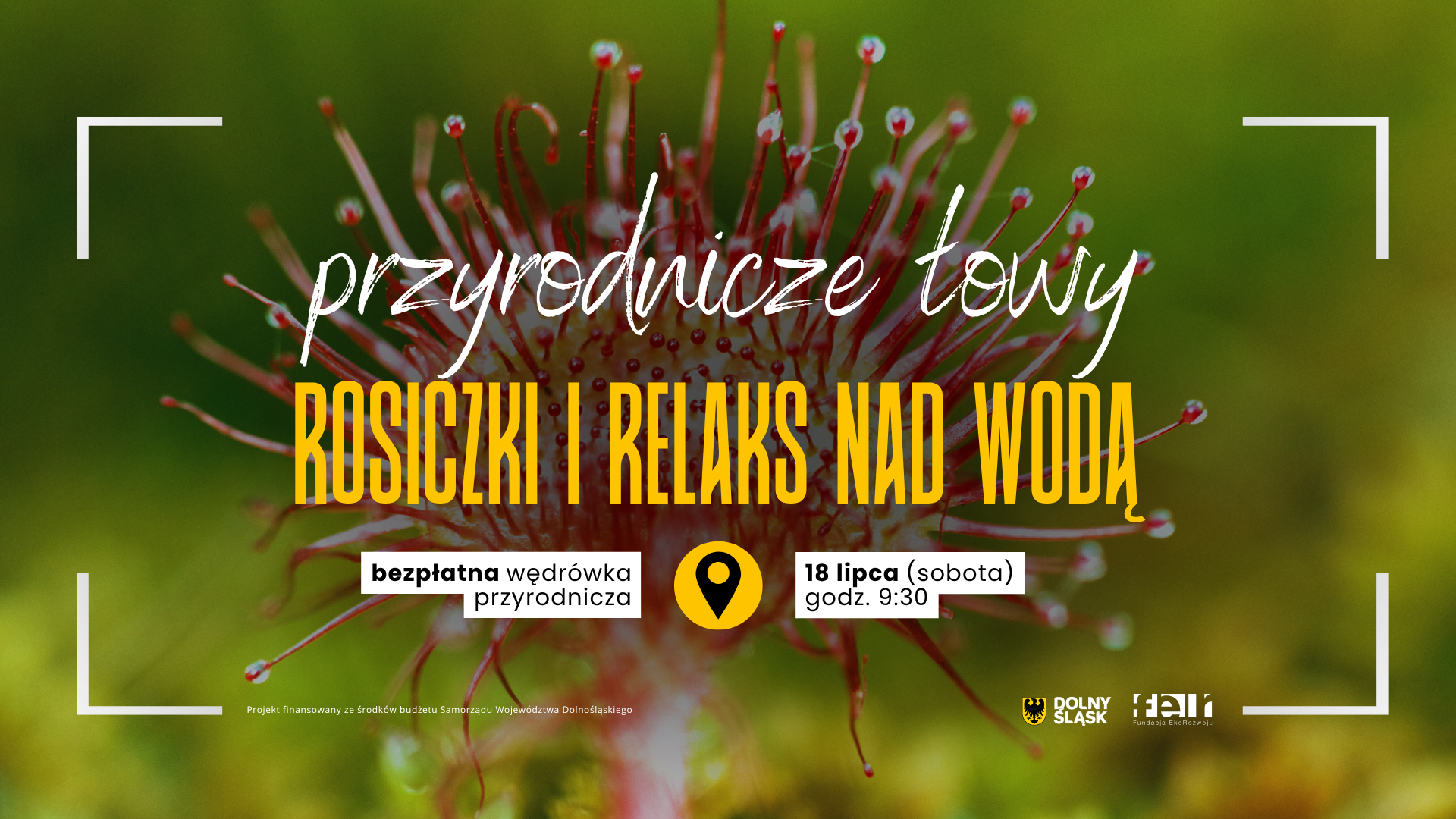 Wyrusz z nami na poszukiwania rosiczek!